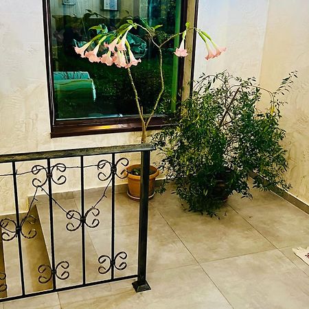 Hotel Elite House Местия Экстерьер фото