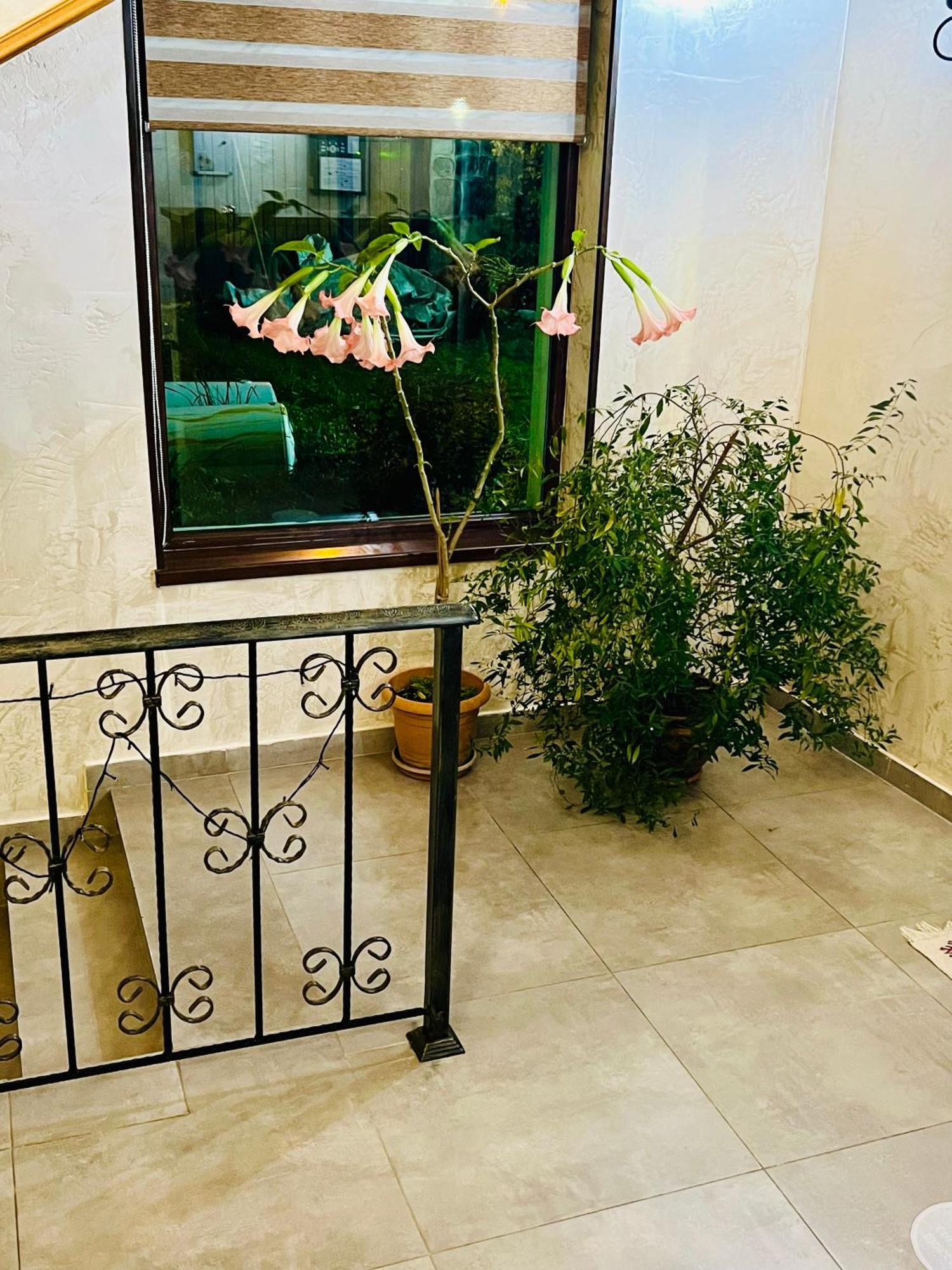 Hotel Elite House Местия Экстерьер фото